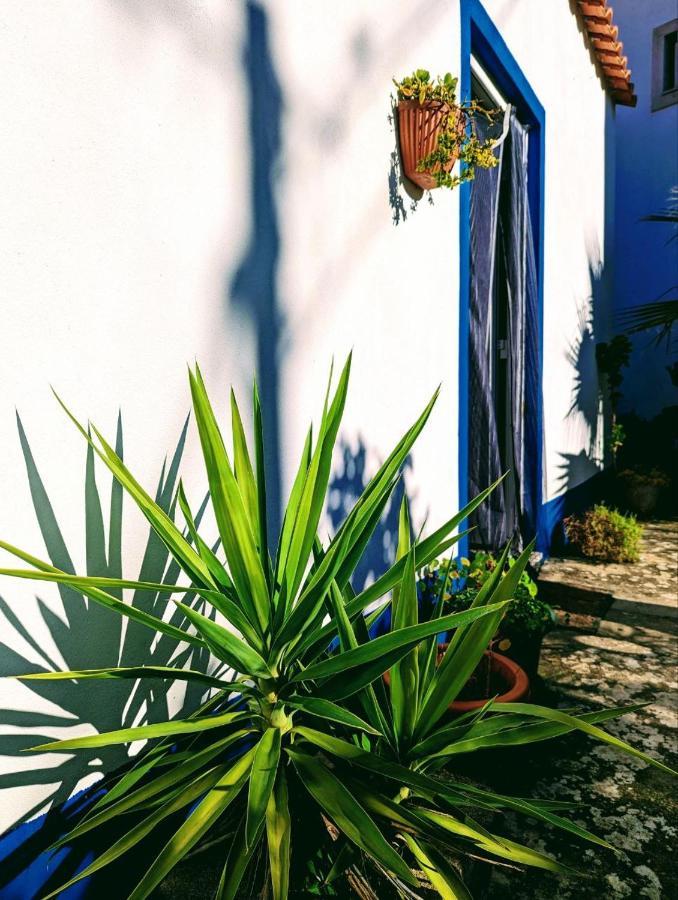 Cozy 3 Bedroom Home - Close To Beach Lourinhã Exteriér fotografie